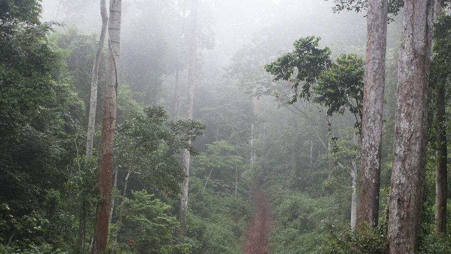 Деревня Дебунджа (Камерун)