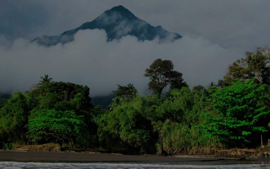Национальный парк Джа Камерун