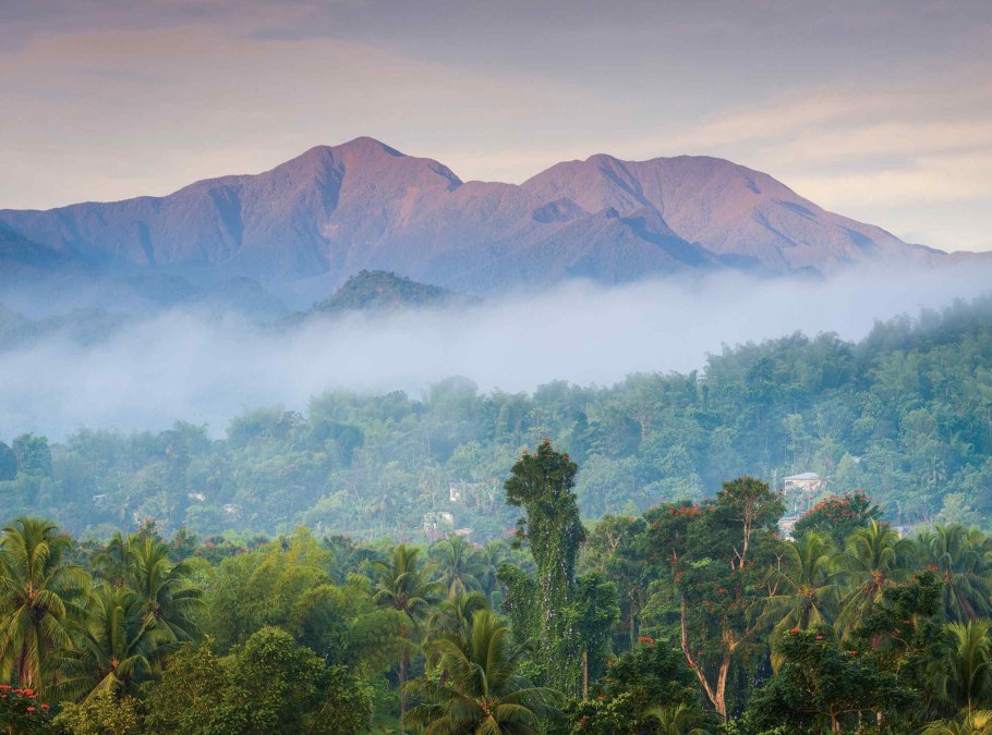 Блу-Маунтинс (Ямайка)