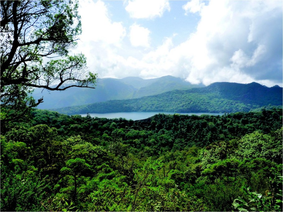 Фаунистический резерват Джа (Камерун)