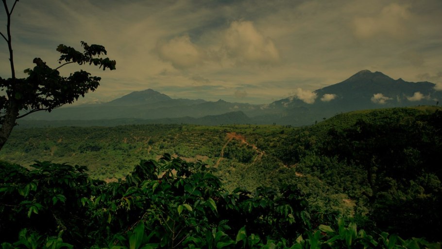 Парк «Бубанджида» в Камеруне
