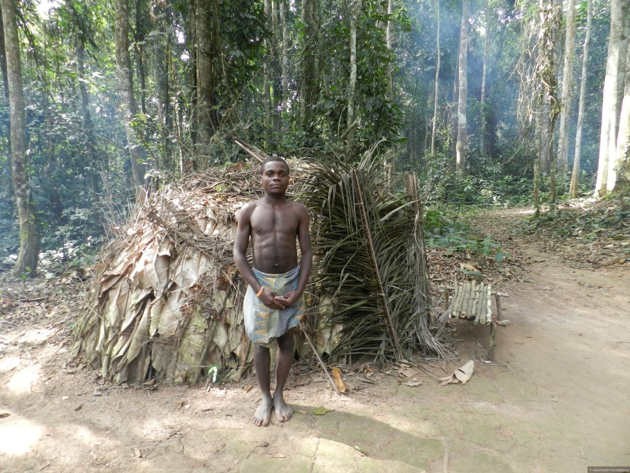 Пигмеи Камеруна