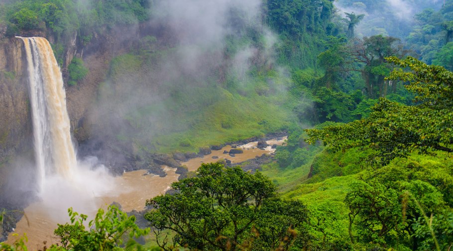 Национальный парк Джа Камерун