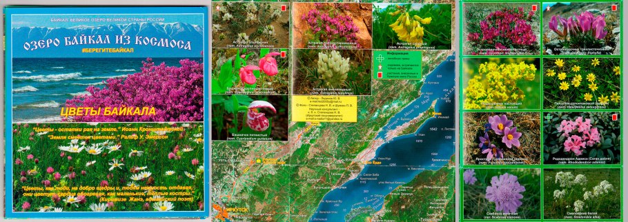 Растения эндемики озера Байкал
