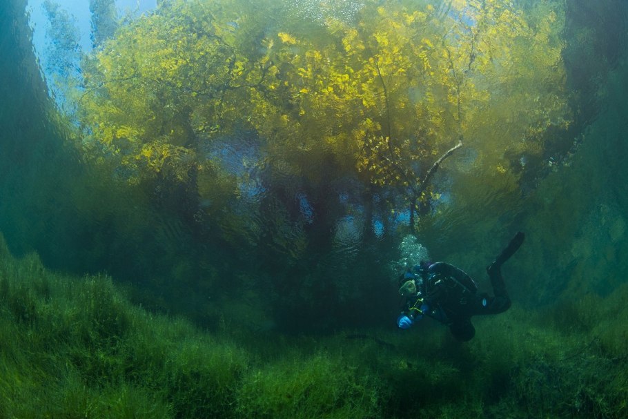 Виктор Лягушкин фотограф National Geographic