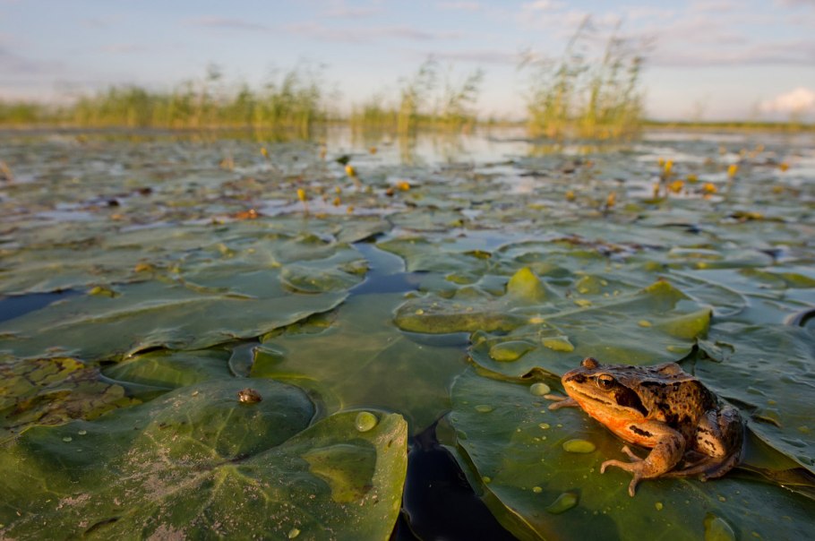 Кабанский государственный природный заказник