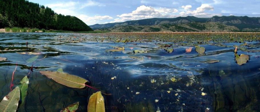 Тыклинское озеро Выдрино