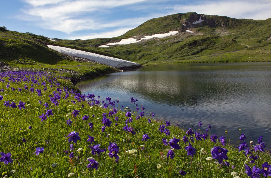 Байкальский биосферный заповедник Флора