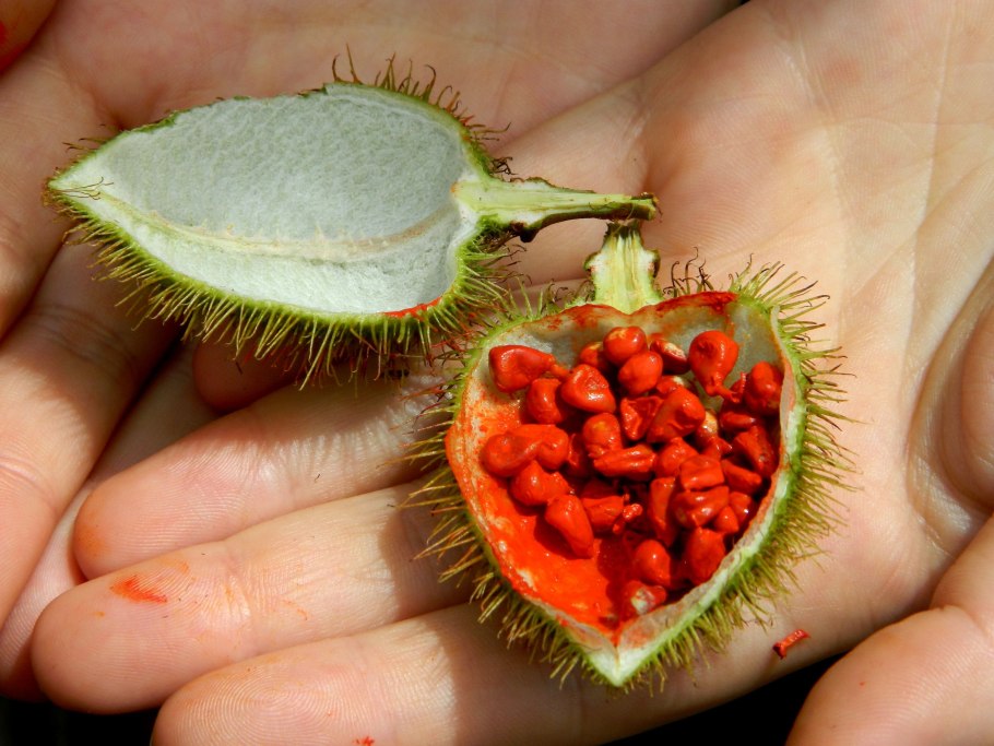 Странные экзотические фрукты