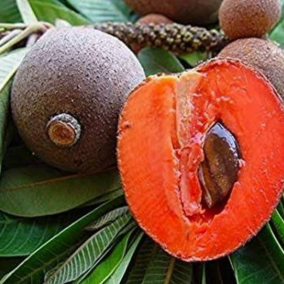 Мамей сапота фрукт