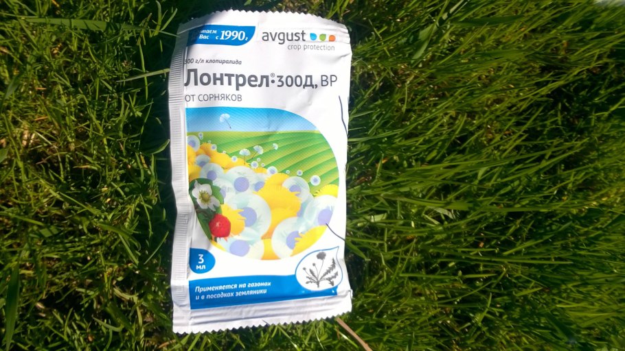 Канадский газон