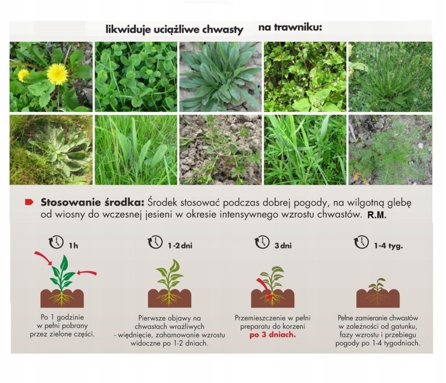 Зеленый фон