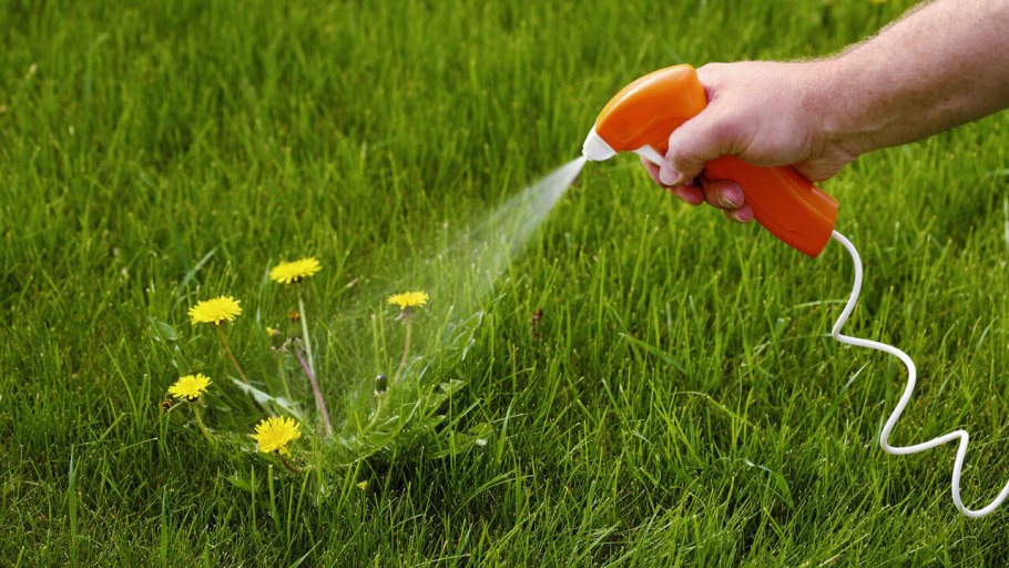 Прополка газона