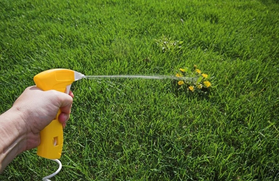 Пестициды для борьбы с сорняками