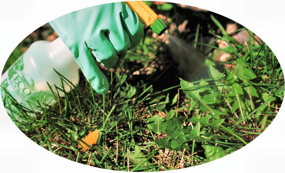 Пестициды для борьбы с сорняками