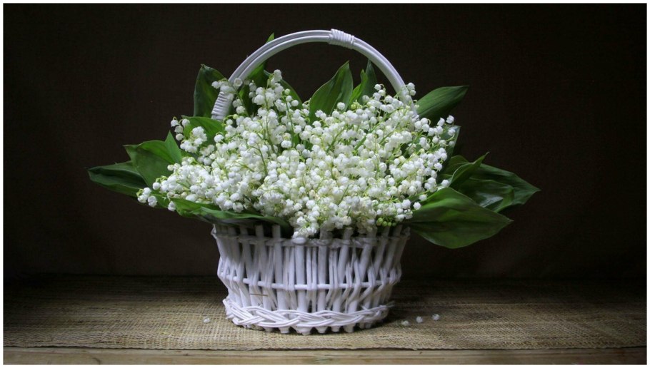 Пастернак Ландыши