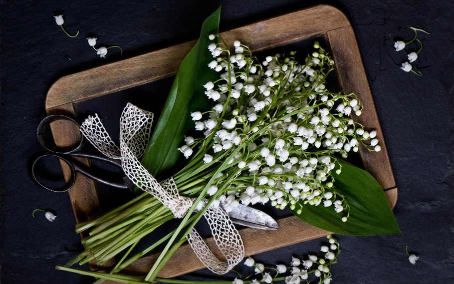 Ландыш для детей