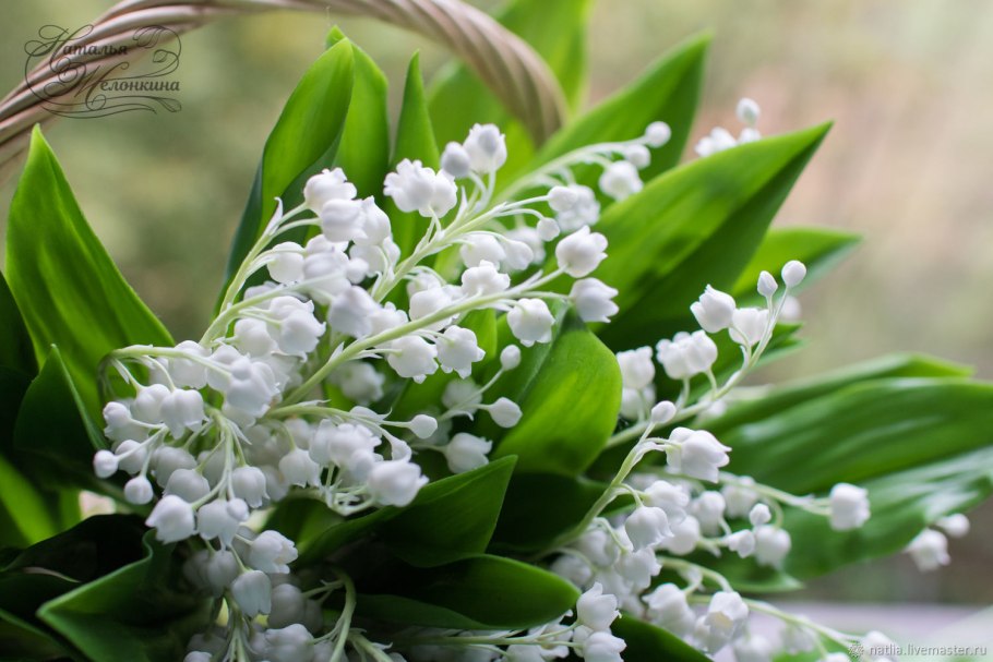 Ландыш Lily of the Valley