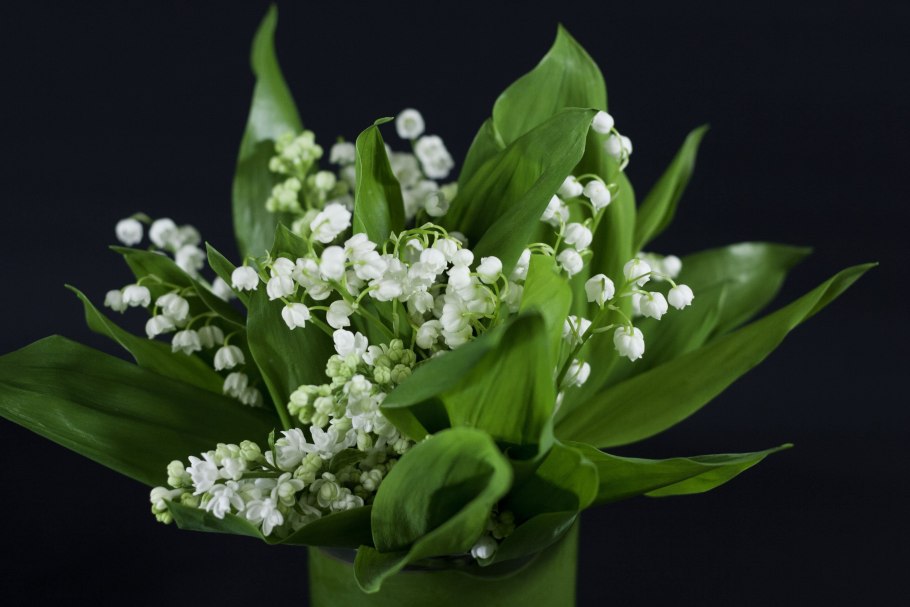 Цветок чашечка Жасмин Ландышевый белый