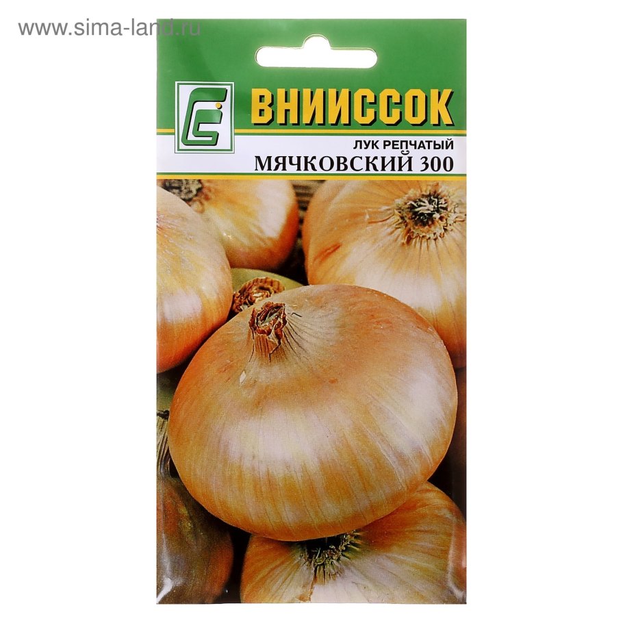 Семена лук репчатый халцедон