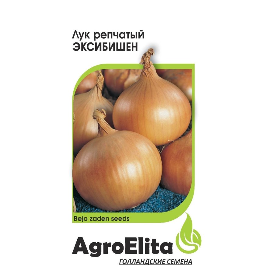 Лук севок сорт Штутгартер Ризен