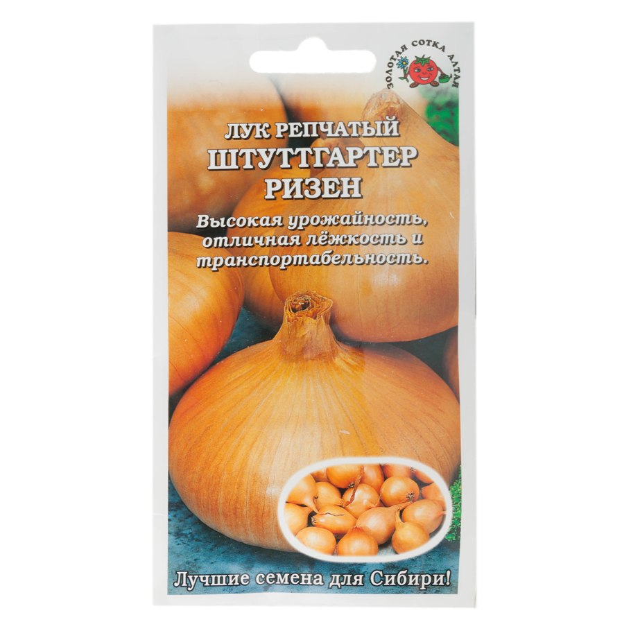 Лук севок Брунсвик