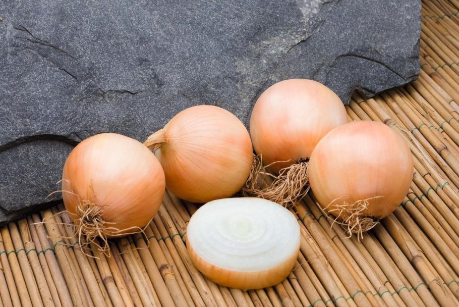 Лук Альвина