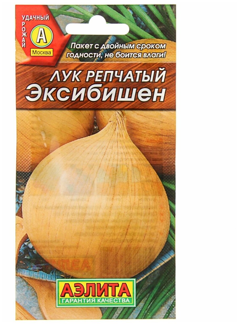 Лук-севок Сеншуй Еллоу Глоуб Голландия