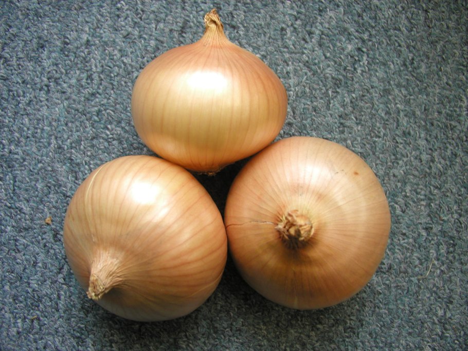 Л/лук Штутгартер Ризен ранний *1г