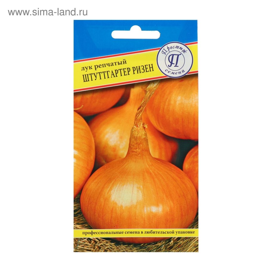 Репчатый лука и севок и семена