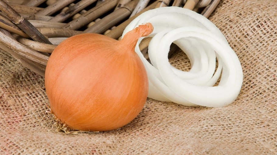 Лук Комета f1