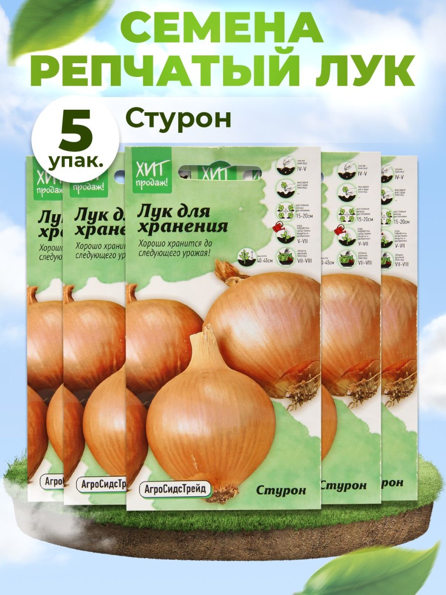 Семена в руке