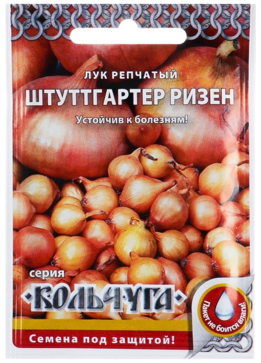 Лук Чернушка семена