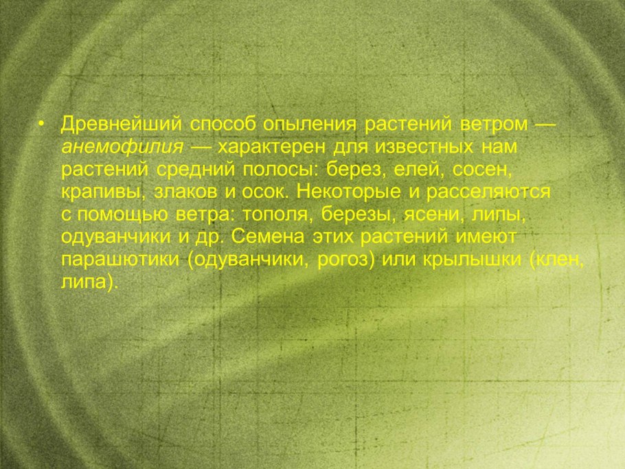 Способ опыления крапивы