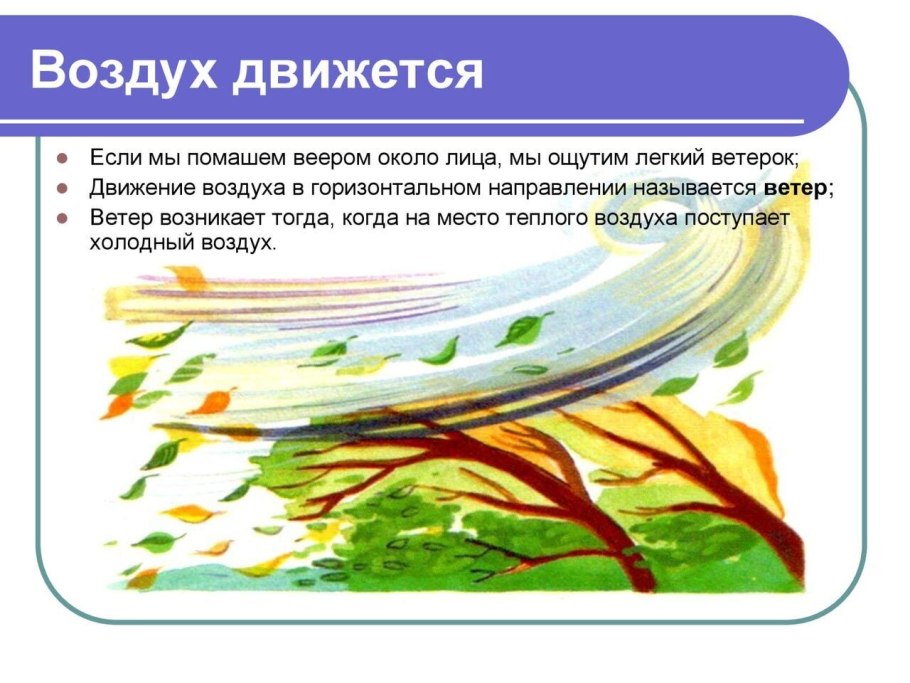 Опыты с ветром для дошкольников