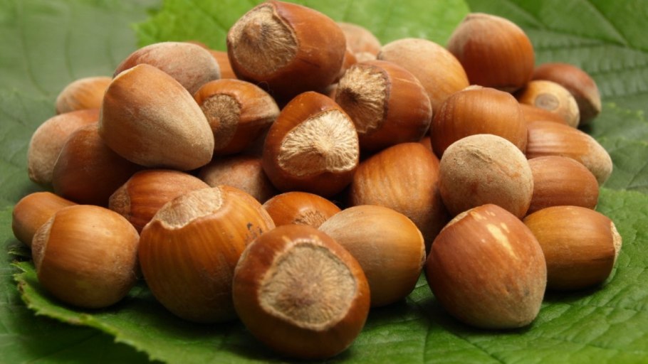 Фундук Трапезунд