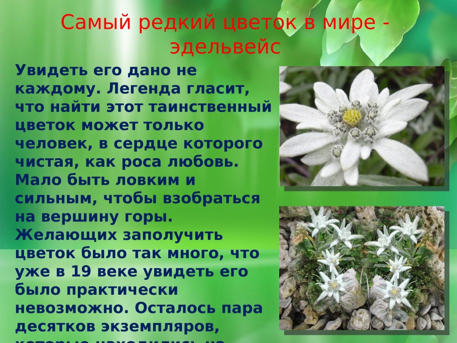 Микроволновка Панасоник nn-sd366w