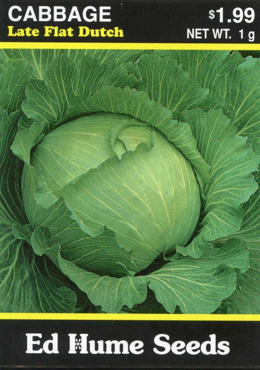 Листья салата Айсберг