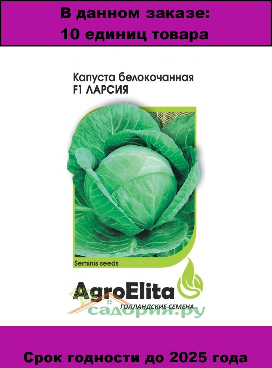 Потресканная капуста белокочанная