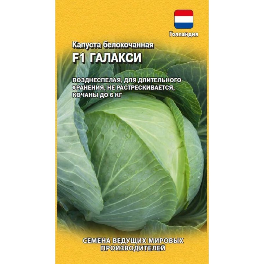 Капуста Глафира