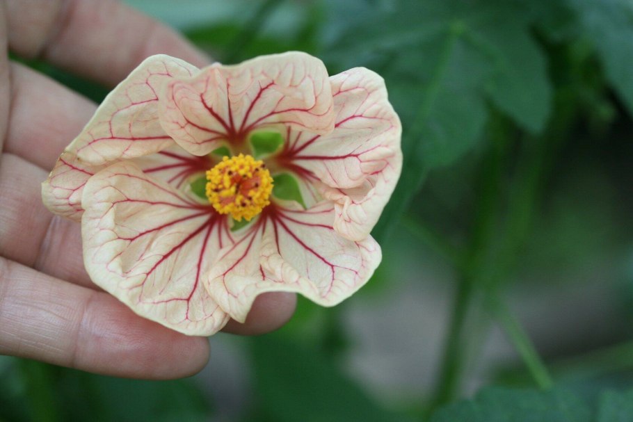 Микшерный пульт Markus LS 82d