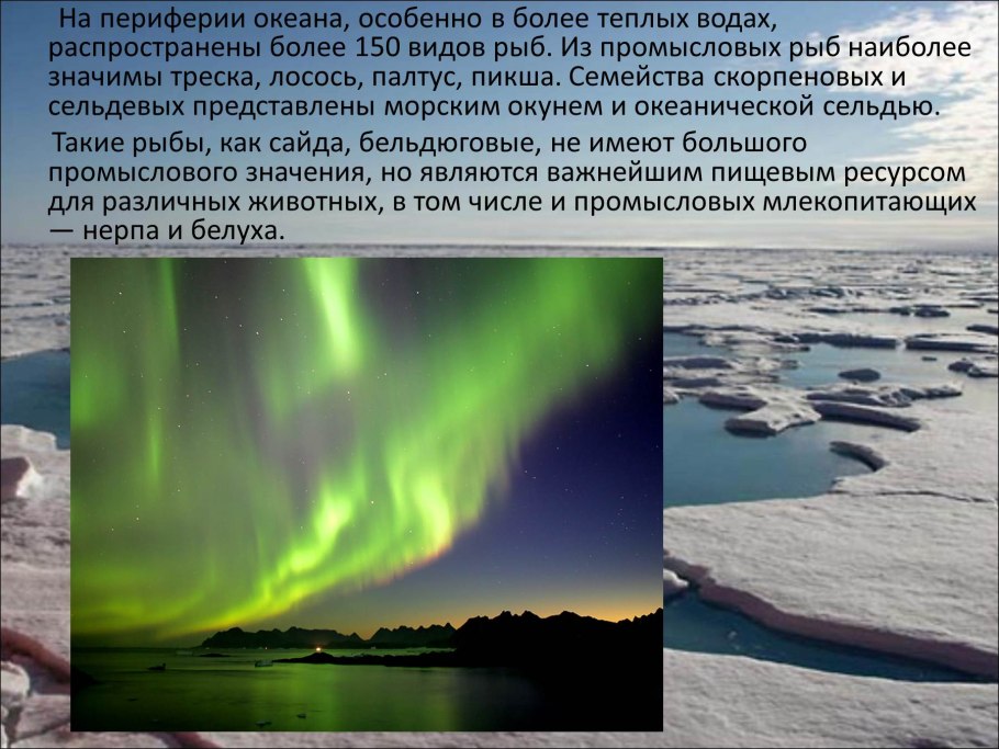 Теплый Северный Ледовитый океан