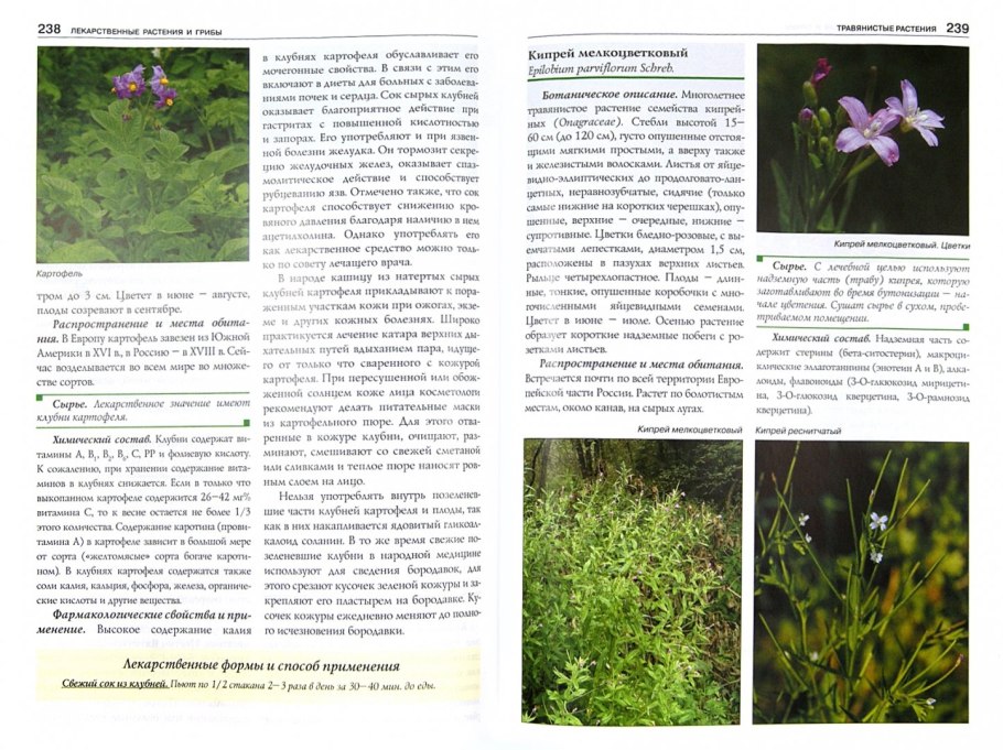 Атлас определитель лекарственных растений России