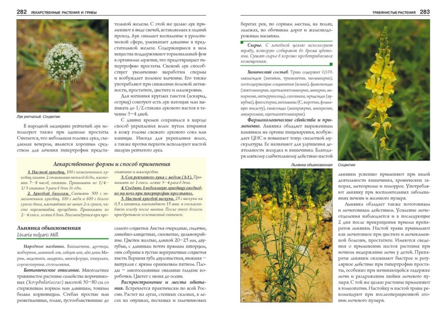 Атлас определитель растений Карелии растения