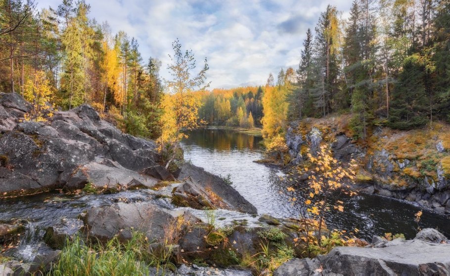 Ладога лес Олонец