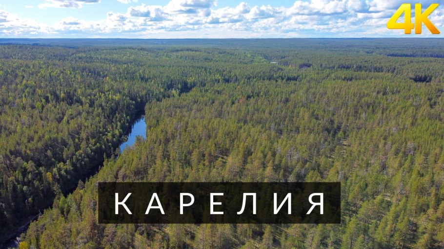 Леса Карелии Карелии
