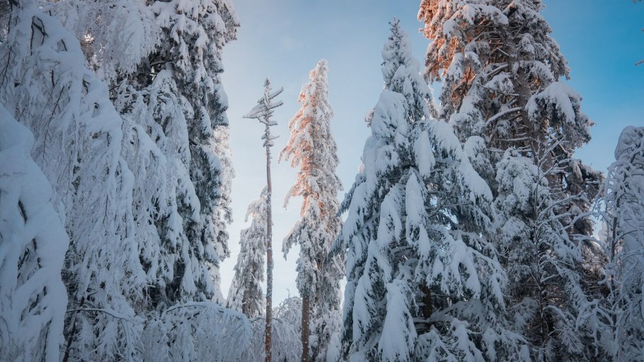 Озеро Пизанец Карелия