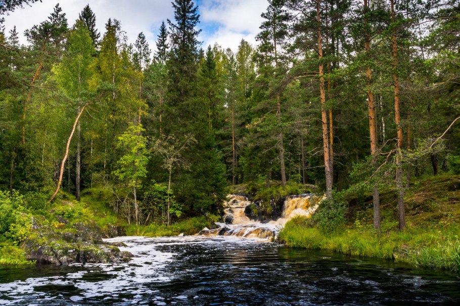 Карельский лес