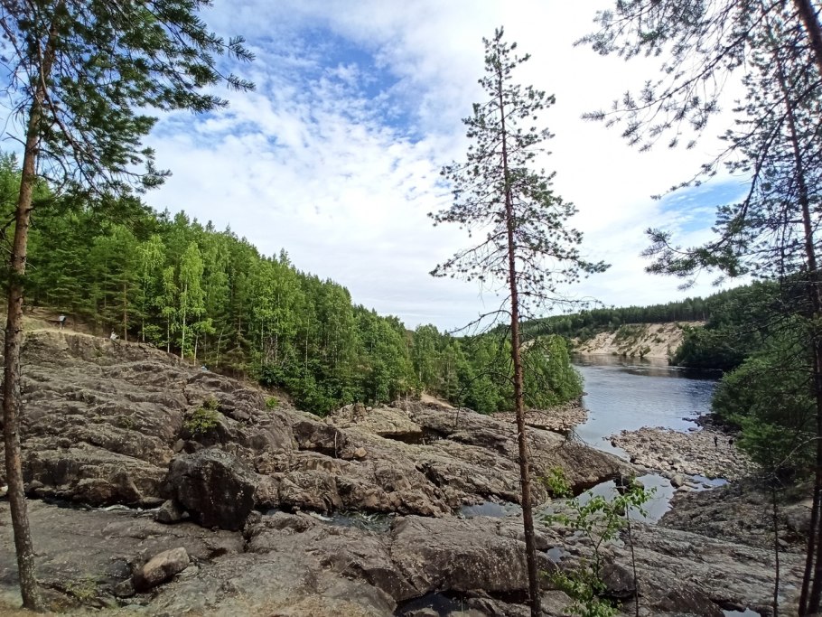 Бурый медведь Лапландский заповедник