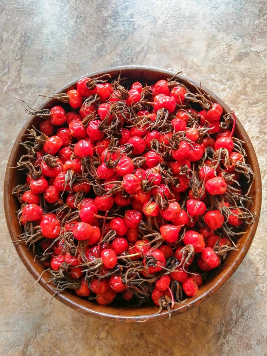 Болезни плодов шиповника